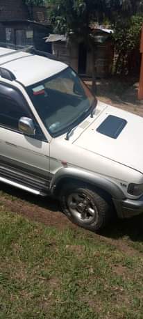 A picture of Bighorn V6
