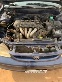 A picture of Corolla okerejuoelo