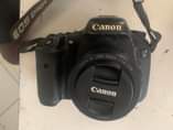 A picture of canon 7d body
