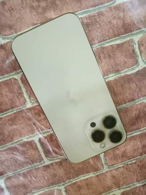 iphone 13pro