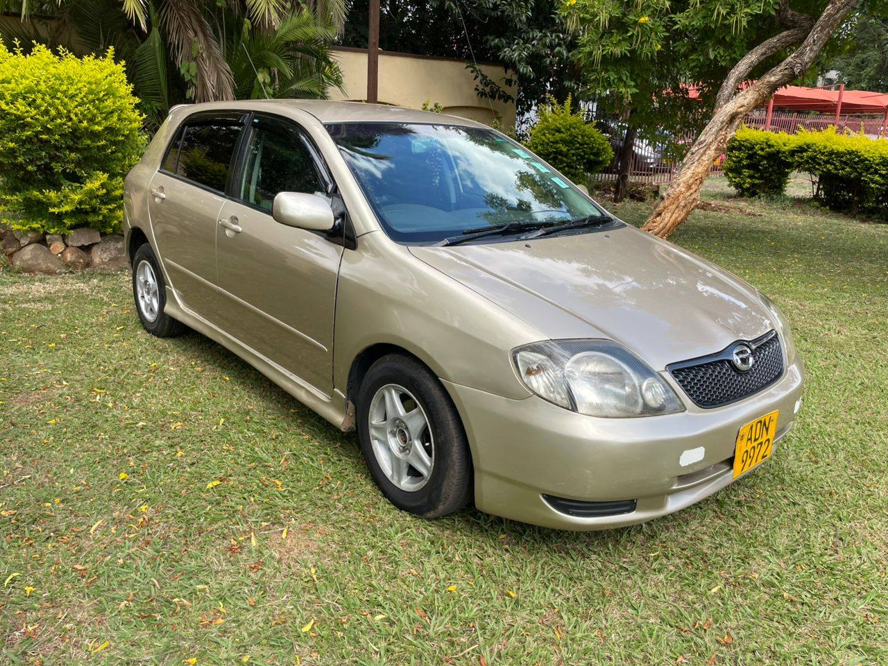 cars