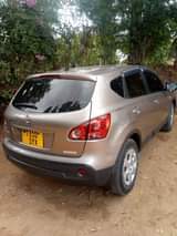 A picture of Gari