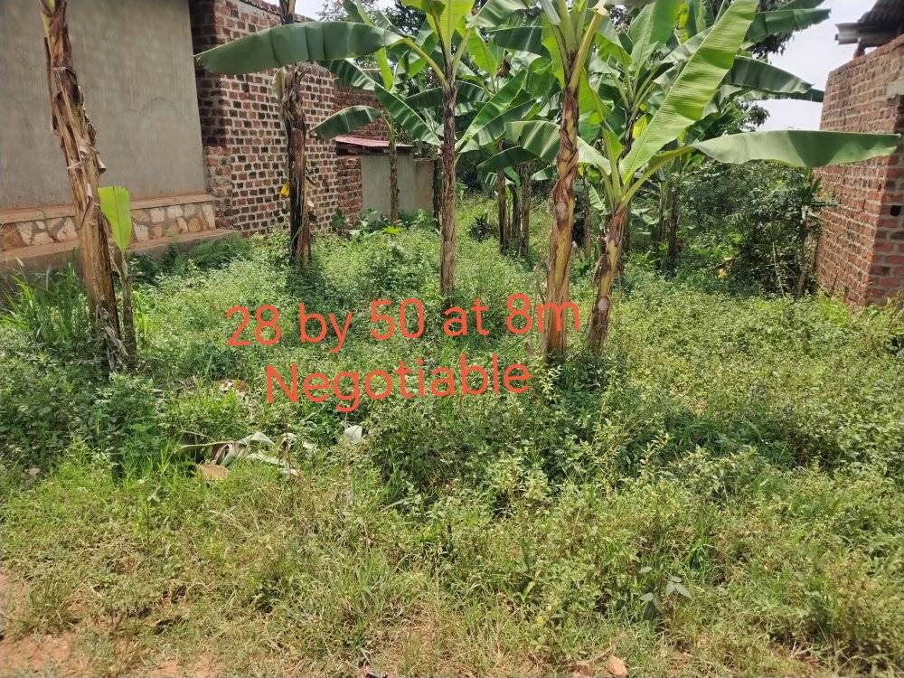 uganda plots