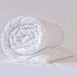 A picture of Quilts
