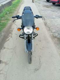 A picture of Boxer mb cc 125