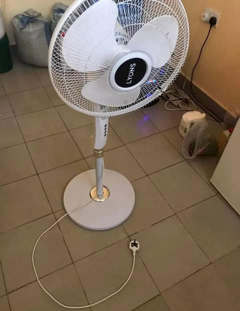 fans