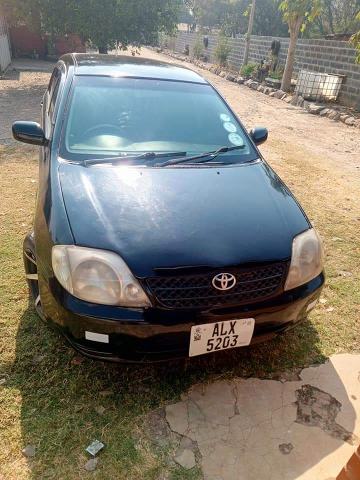 used toyota runx