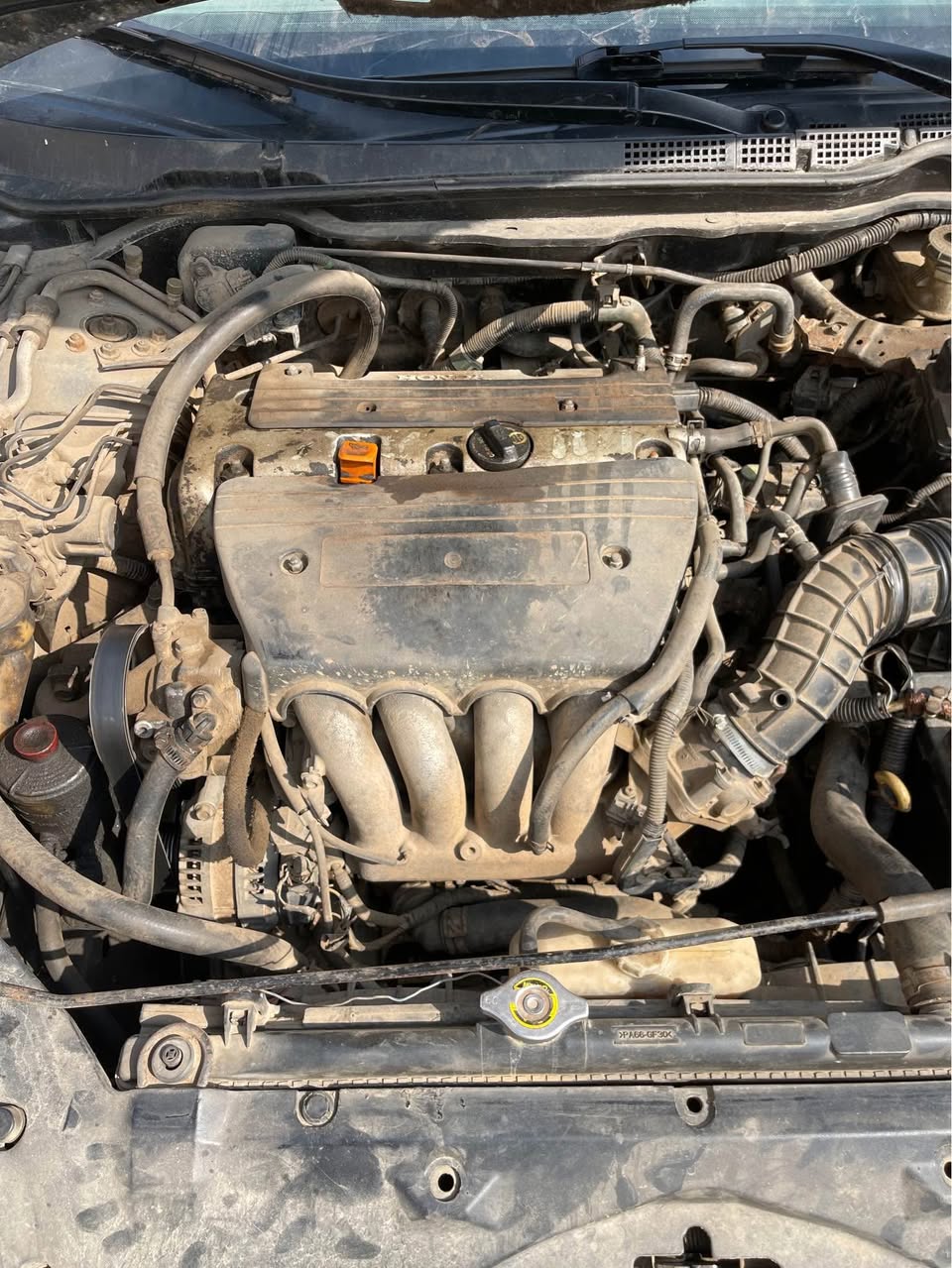 A picture of Honda eod