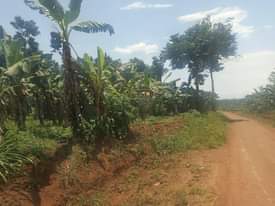 A picture of Land