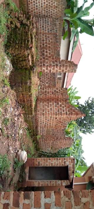 A picture of Nansana naluvule