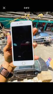 A picture of 7plus