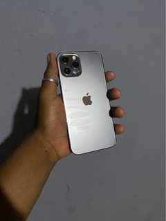 iphone 12pro