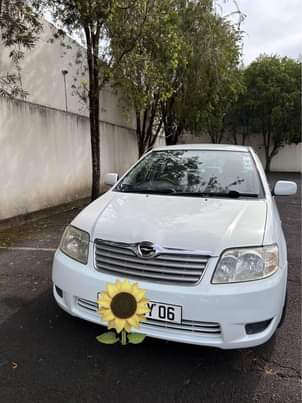 used toyota corolla
