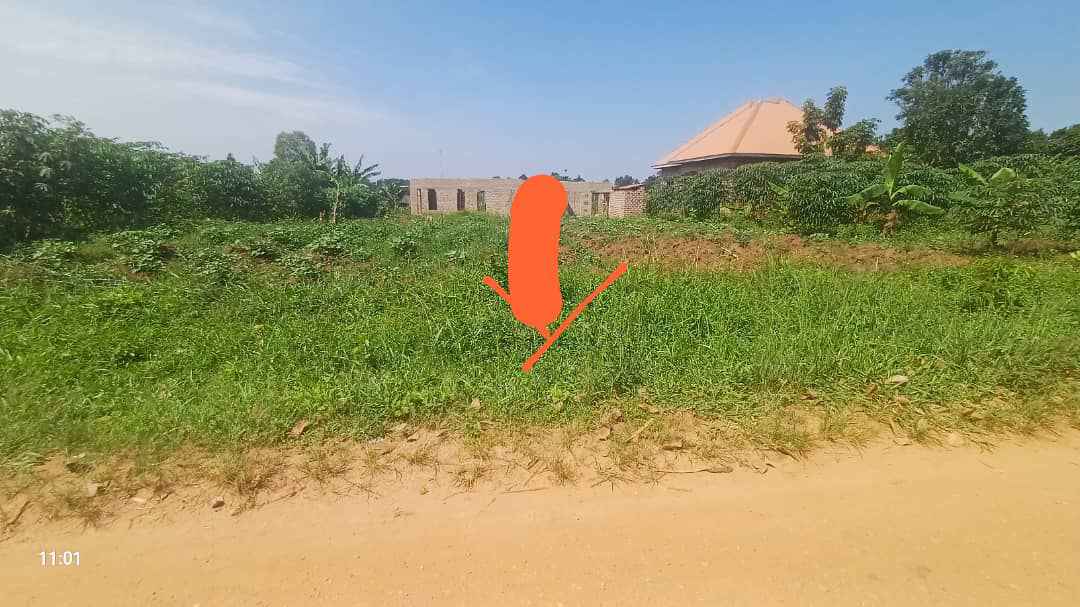 A picture of Plot for sale now.