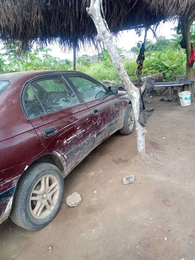 A picture of Carina E 07043283348