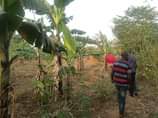 A picture of 3Acres on sale 100m all located kiwebwa nakikungwe we branch