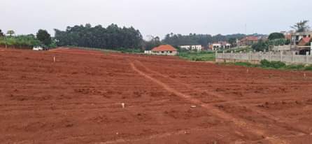 A picture of Quick sale matugga kakelenge estate Size 100by50ft with land title