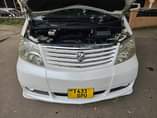 A picture of Toyota Alphard