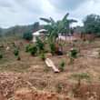 A picture of Good installments allowed in MATUGGA KITANDA KILYAMULI PLOT FOR SALE