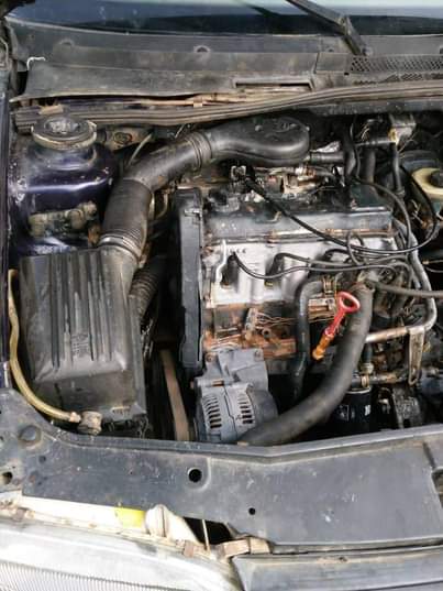 A picture of 2004 Golf Golf