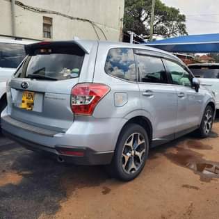 A picture of Forester