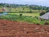 A picture of HALF LONDON WAKISO ESTATE 50BY100 WITH READY LAND TITLE AT