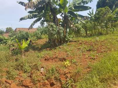 A picture of CHEAP PLOTS NSAGGU