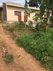 A picture of Plot on quick sale in lukwanga sentema rd 6 5m