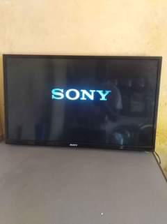sony