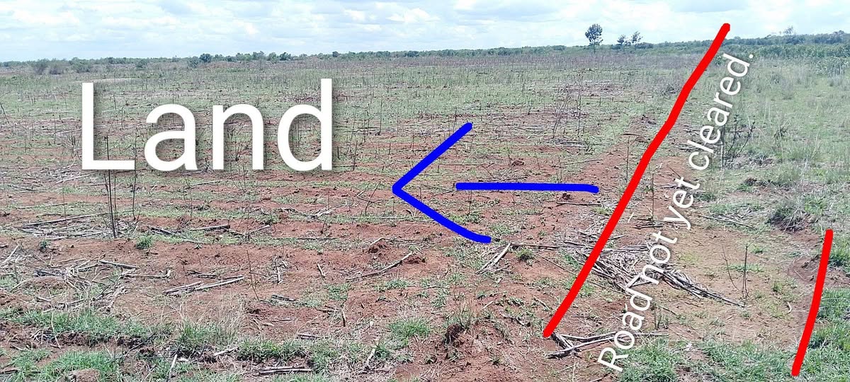 agricultural