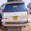 A picture of Landcruiser Prado TZ 46m