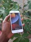 A picture of IPHONE 6S PLUS GB 64