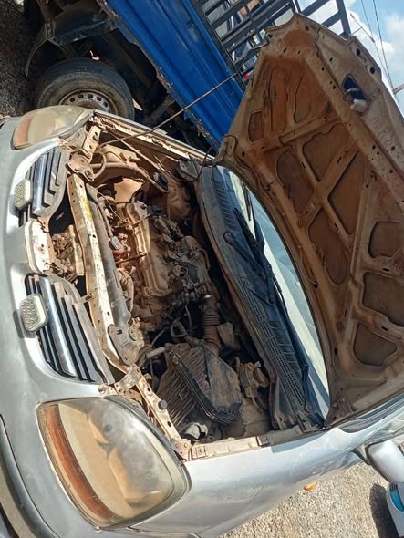 A picture of Nissan Tino First body