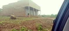 A picture of LAND