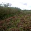 A picture of  2.5 ACRE S Land title FOR SALE IN GAYAZA
