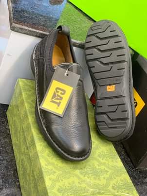 A picture of Brand cat shoes pure LEATHER