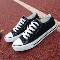 A picture of ALL STARS