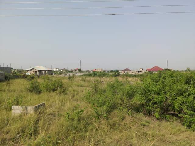 Market A.