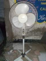 fans