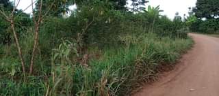A picture of 2 5acres all at 24m with ready land title electricity