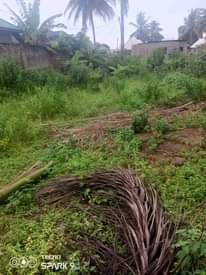 A picture of KIWANJA CHANIKA