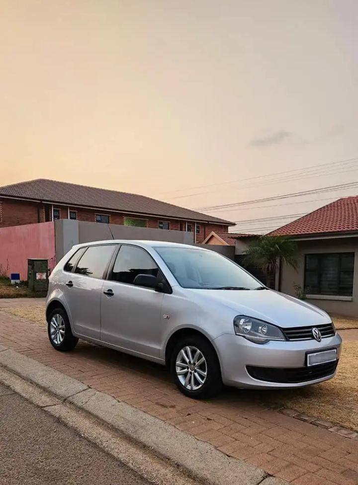 polo vivo