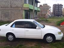 Mwende F.