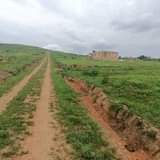 Sseka P.