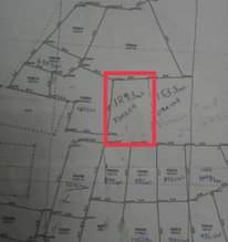 A picture of 