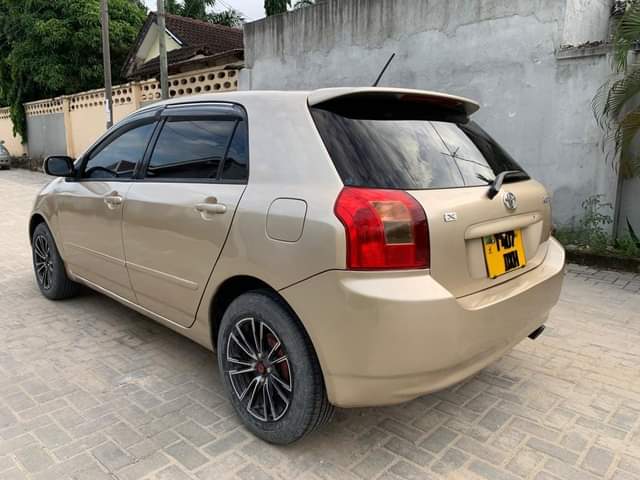 XPERT M.
