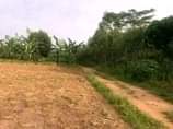 A picture of Matugga Migadde plot on quick sale