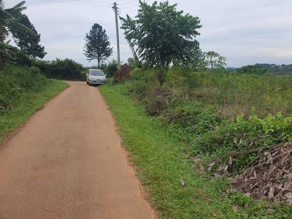 A picture of PLOT FOR SALE IN MUKONO MPOMA