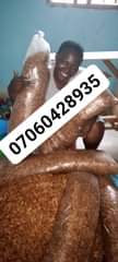 A picture of Crayfish fully restock send in ur order if you are