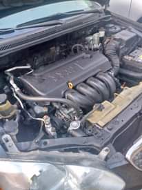 A picture of Corolla 06